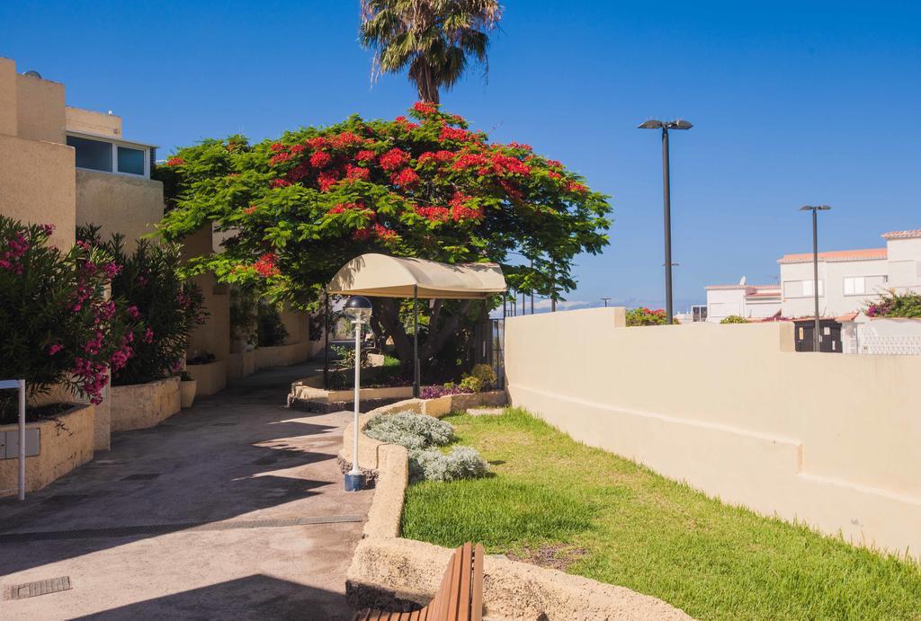 Apartamentos El Cortijo Плая-де-лас-Америкас Номер фото